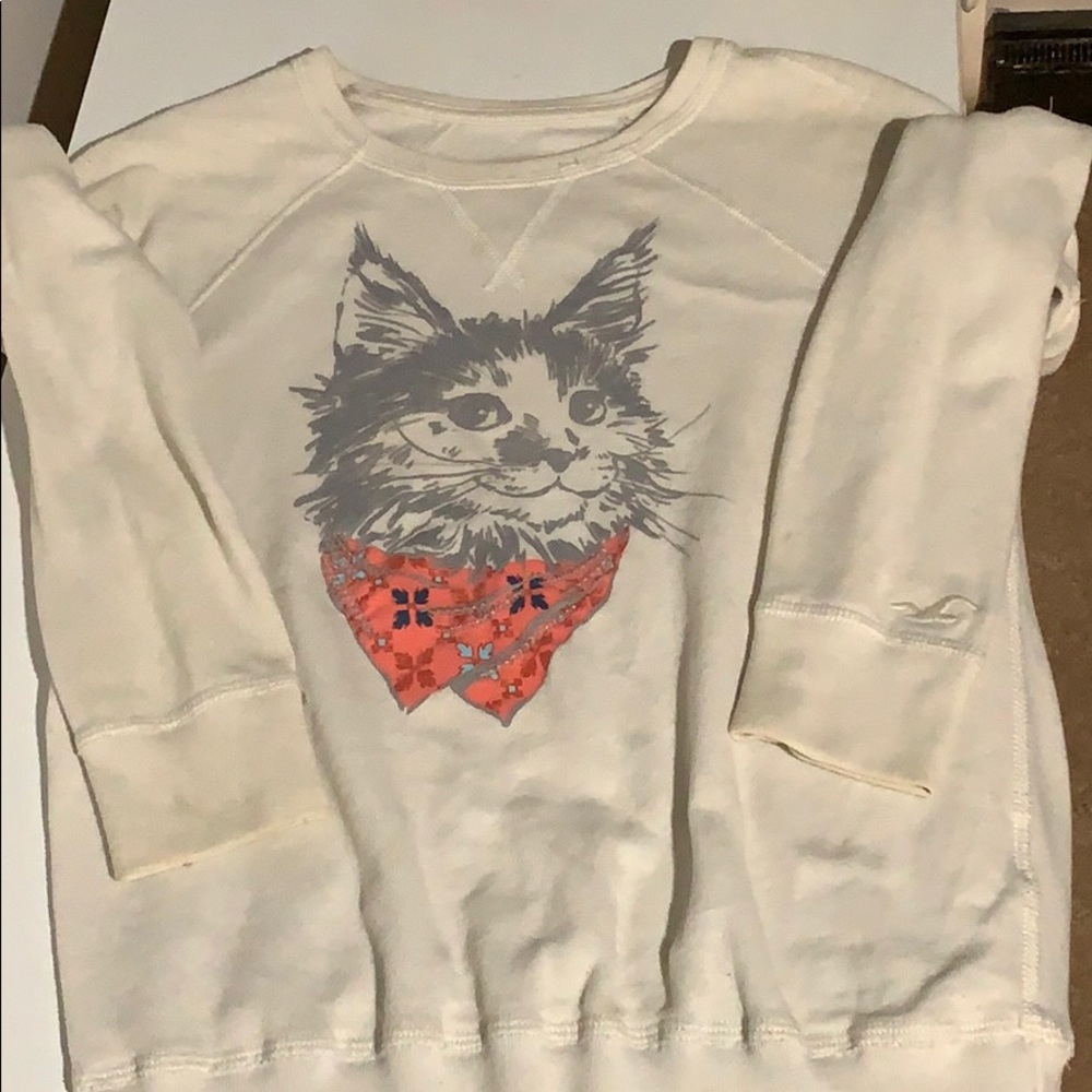Hollister kitten sweater